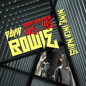 Pochette de Mountain View… ’95 de David Bowie