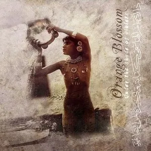 Pochette de Under the Shade of Violets de Orange Blossom