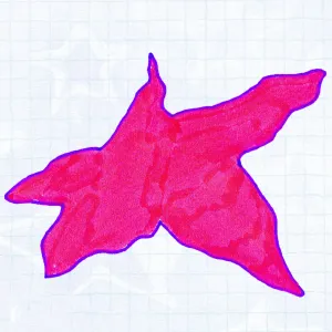 Pochette de starsiigns de horsegiirL