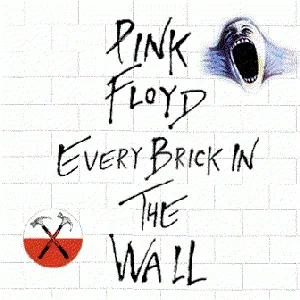 Pochette Every Brick in the Wall