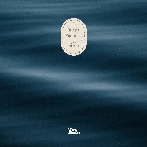 Pochette de Delicate Movements de KAINBEATS