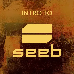Pochette de Intro to Seeb de Seeb
