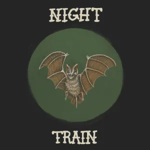 Pochette de Night Train de DeWolff