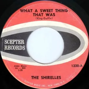 Pochette de What a Sweet Thing That Was / A Thing of the Past de The Shirelles