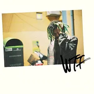 Pochette de WTF am I doin' de ZENE THE ZILLA