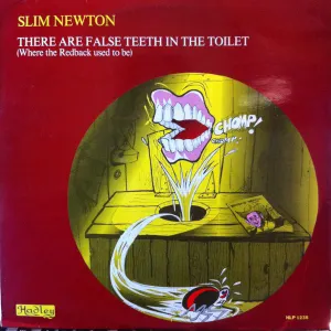 Pochette de There Are False Teeth in the Toilet (Where the Redback Used to Be) de Slim Newton