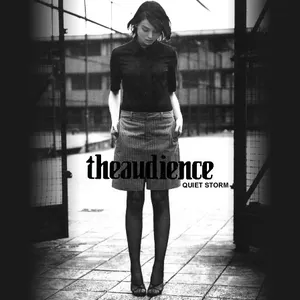 Pochette de Quiet Storm de theaudience