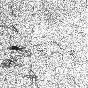 Pochette de Voyces de Kevin Drumm