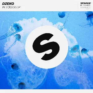 Pochette de In Too Deep de Dzeko