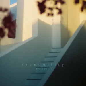 Pochette de Tranquility de Sátyr