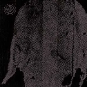 Pochette de The Austrasian Goat / Neige Morte de Neige Morte