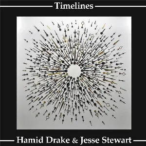 Pochette de Timelines de Hamid Drake