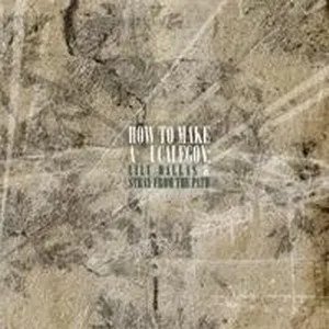 Pochette de How to Make a Ucalegon de Stray From the Path