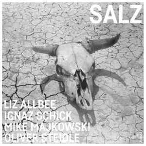 Pochette de Salz de Mike Majkowski