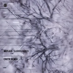 Pochette de Surrounded (Calyx remix) de Mefjus