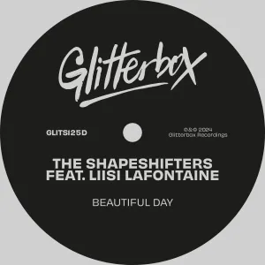 Pochette de Beautiful Day de The Shapeshifters
