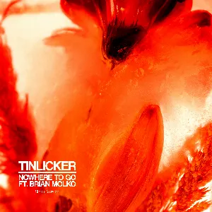 Pochette de Nowhere to Go de Tinlicker