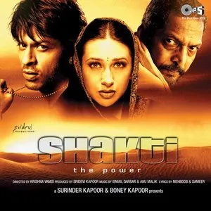 Pochette de Shakti de Ismail Darbar