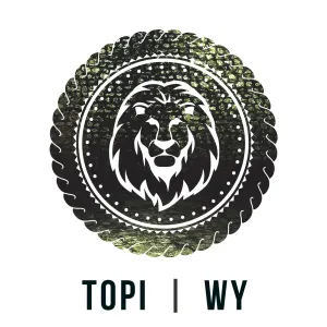 Pochette de Departure de Topi