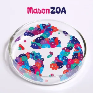 Pochette de ZOA de Mason