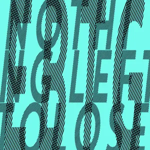 Pochette Nothing Left to Lose