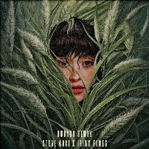 Pochette de Dudadu (Remix) de Steve Aoki