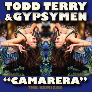 Pochette de Camarera: The Remixes de Todd Terry
