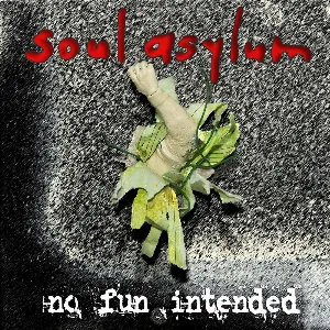 Pochette de No Fun Intended de Soul Asylum