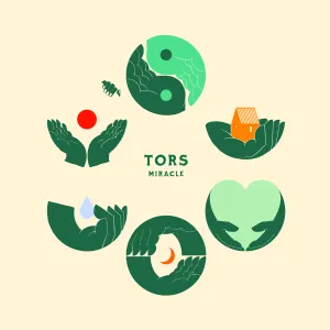 Pochette de Miracle de Tors