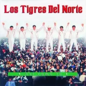 Pochette de Así como tú de Los Tigres del Norte
