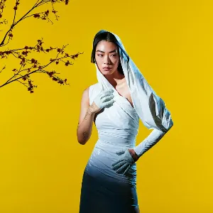 Pochette de Catch Me in the Air de Rina Sawayama