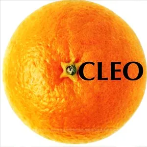 Pochette de 연인: 1집 de CLEO