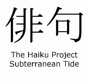 Pochette de Haiku 03 de Scott Lawlor