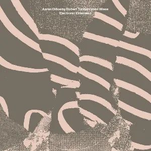Pochette de Electronic Extension de John Wiese
