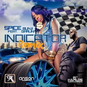 Pochette de Indicator (Soca Remix) de Spice