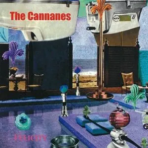 Pochette de Felicity de The Cannanes