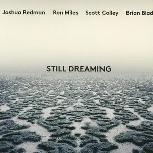 Pochette de Still Dreaming de Scott Colley - Brian Blade
