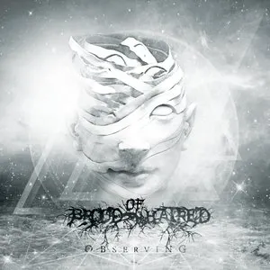 Pochette de Observing de Brood of Hatred