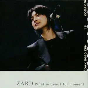 Pochette de What a beautiful moment de ZARD
