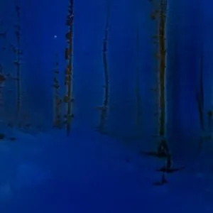 Pochette de Variations on a Theme de Omnis