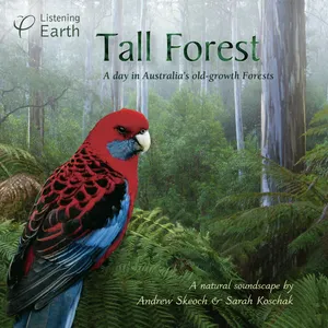 Pochette de Tall Forest de Andrew Skeoch
