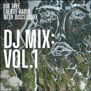 Pochette de Big Tree Energy Radio, Vol. 1 de Disclosure