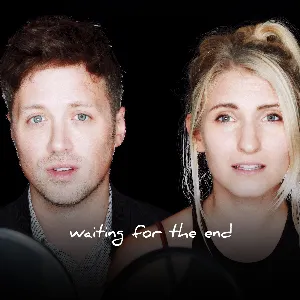 Pochette de Waiting for the End de Linney