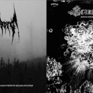 Pochette de Scurshahor / Striborg de Striborg
