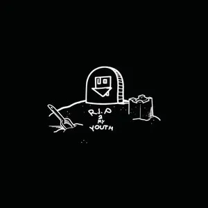 Pochette de R.I.P 2 My Youth de The Neighbourhood