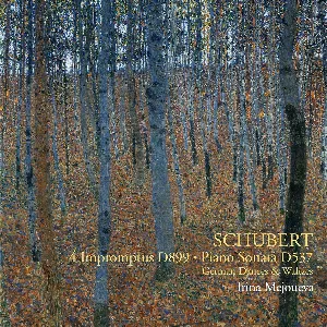 Pochette Schubert - 4 Impromptus D. 899, Piano Sonata D. 537, etc.