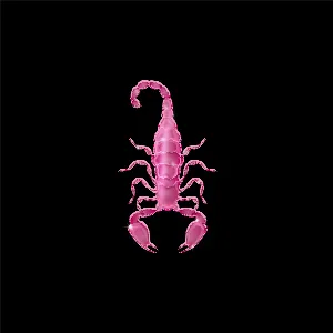 Pochette de Savage Refix de Hanni El Khatib