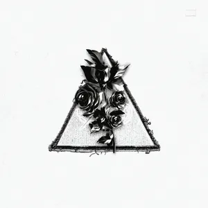 Pochette de BERMUDA TRIANGLE de ZICO