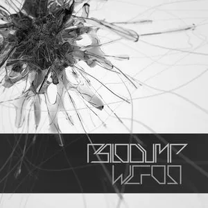 Pochette de Wefosi de Psilodump