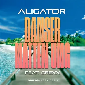 Pochette de Danser Natten Ung de DJ Aligator